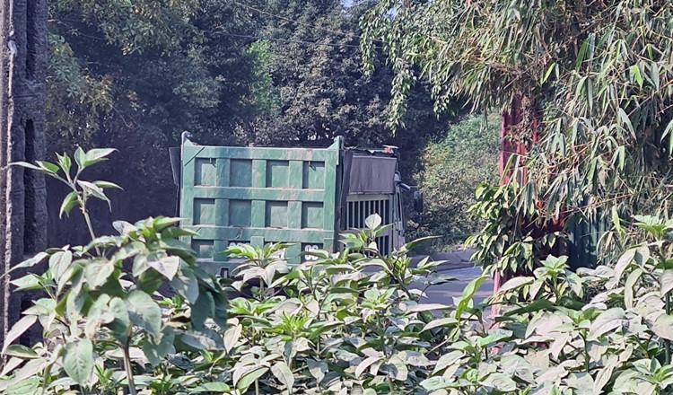 Những chiếc xe tải chở có dấu hiệu cơi nới thành thùng, ra vào bãi tập kết để vận chuyển cát liên tục.