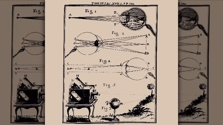 Tại sao các nhà khoa học từng nghĩ rằng võng mạc của người chết là nơi lưu giữ ký ức? - Hình 2 Tai sao cac nha khoa hoc tung nghi rang vong mac cua nguoi chet la noi luu giu ky uc?-Hinh-2