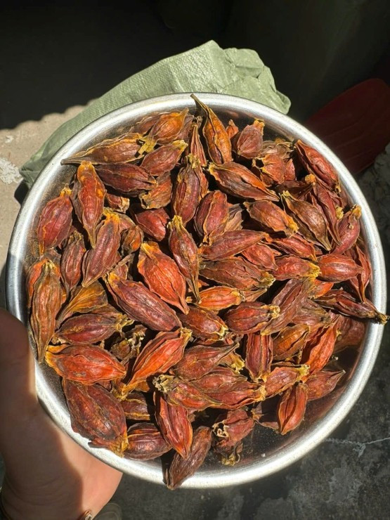 Loại quả mọc dại bất ngờ được bán với giá 300 nghìn đồng/kg - Hình 3 Loai qua moc dai bat ngo duoc ban voi gia 300 nghin dong/kg-Hinh-3