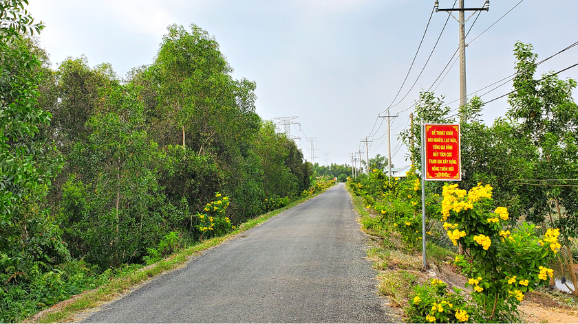 Tiền Giang: Ai nâng cấp tuyến đường cụm dân cư xã Tân Hòa Đông? Tien Giang: Ai nang cap tuyen duong cum dan cu xa Tan Hoa Dong?