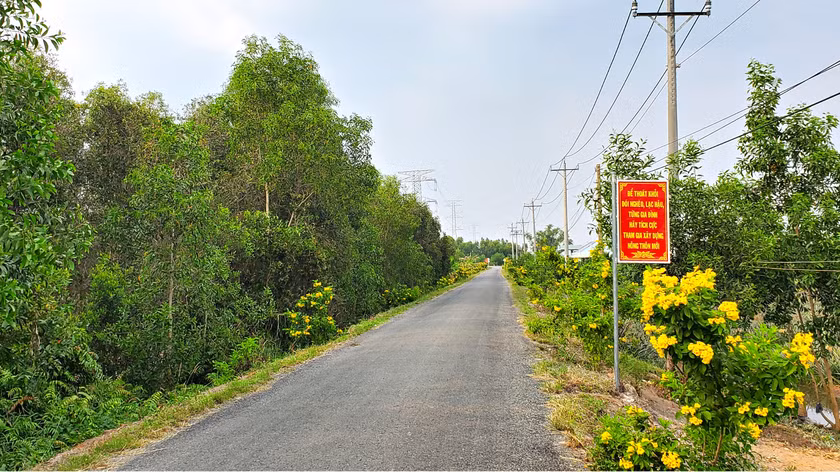 Tien Giang: Ai nang cap tuyen duong cum dan cu xa Tan Hoa Dong?