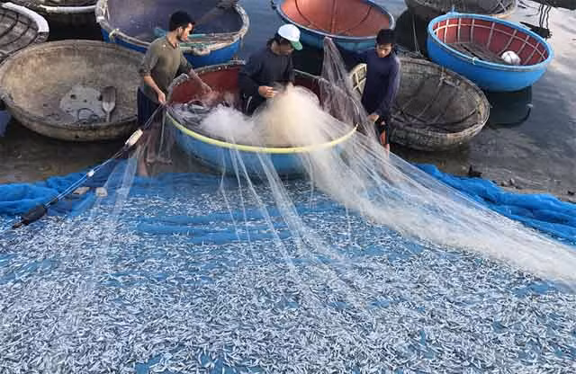 Cheo thung di danh ca com que kiem tien trieu mot buoi-Hinh-2