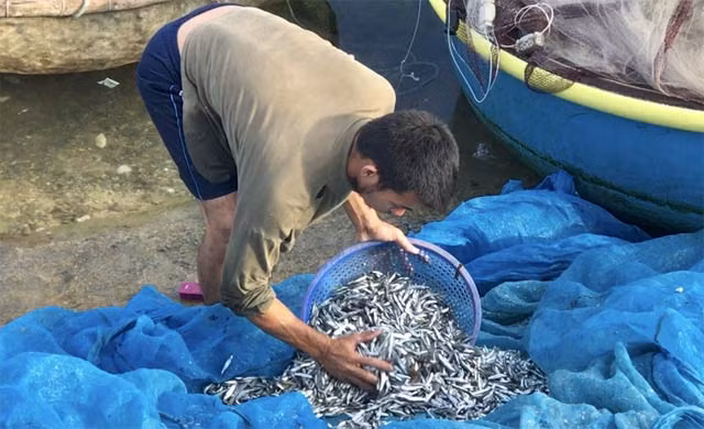 Cheo thung di danh ca com que kiem tien trieu mot buoi-Hinh-4