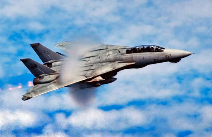 F-14 Tomcat được thiết kế để trở thành tiêm kích đánh chặn hàng đầu của Hải quân Mỹ, ngoài ra, F12 Tomcat còn được sử dụng vào mục đích trinh sát. Sau khi được nâng cấp vào những năm 90 của thế kỷ trước, F-14 Tomcat còn có thể tấn công các mục điêu dưới mặt đất với độ chính xác cực cao.