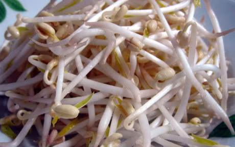 Rau có chất kích thích tăng trưởng dễ nhận hơn vì nó xanh tốt hơn rau bình thường.