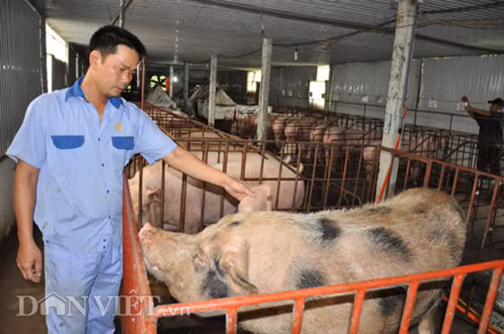 Soc: Mat 10.000 ty dong tu cuoc dai khung hoang lon-Hinh-2