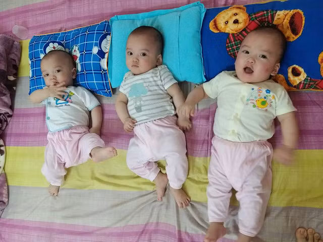 Anh moi ve 3 be sinh cung trung hiem gap tren the gioi-Hinh-8