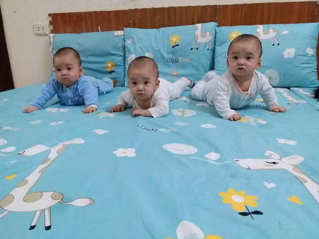 Anh moi ve 3 be sinh cung trung hiem gap tren the gioi-Hinh-3