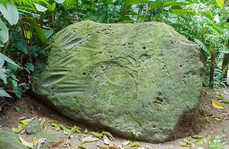 Su lui tan bi an cua nen van minh co dai Olmec-Hinh-4