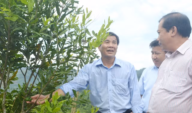 Bay cach cho nguoi dan huyen ngheo trong cay “ty do“