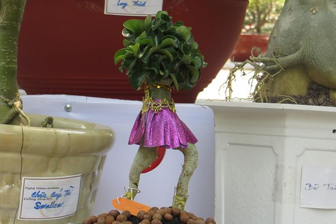 Một cây sứ được tạo dáng thành cô gái mặc váy tím.