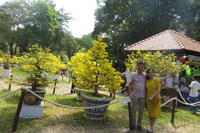 Các loại sứ hoa hồng, bạch sứ... được tạo dáng cực bắt mắt.