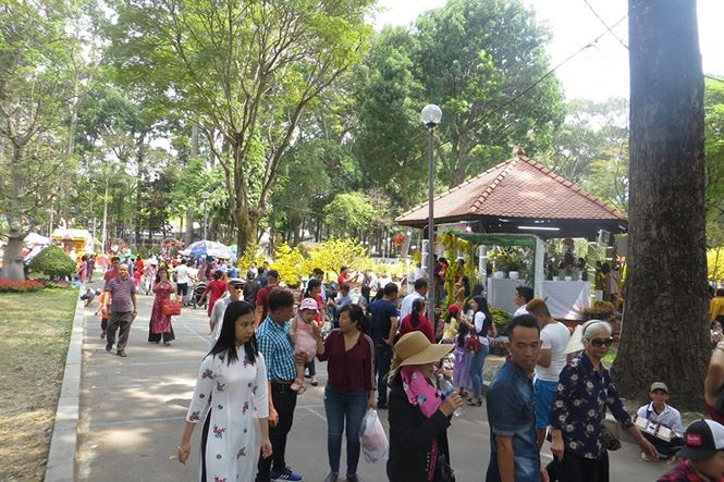 Nhiều cụ mai "khủng" khoe sắc thu hút người xem.