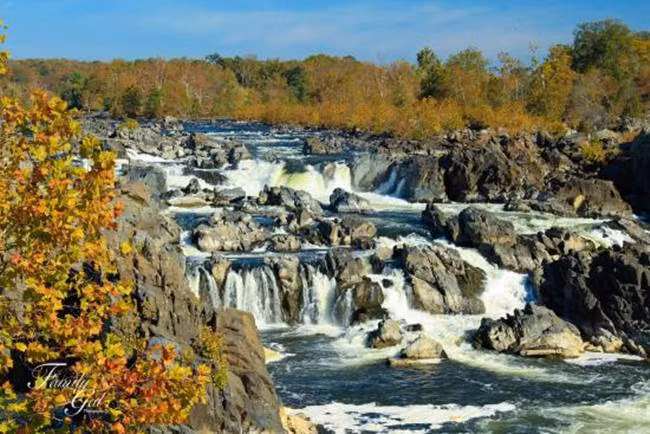 16. Great Falls, Virginia: Great Falls gần công viên Great Falls nhìn ra sông Potomac. Thị trấn đã tụt 2 bậc so với năm ngoái và thu nhập trung bình hộ gia đình là 309.599 USD (~7,19 tỷ đồng).