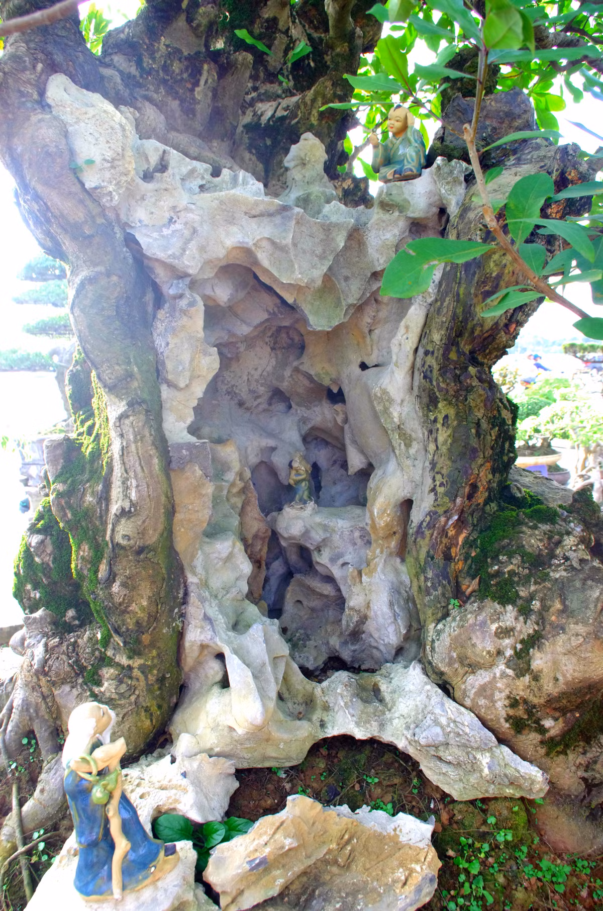 Cây lộc vừng bị rỗng ruột do dấu ấn của thời gian, được anh Hoàn gắn thêm đá và tượng tạo "tiên cảnh" chốn nhân gian