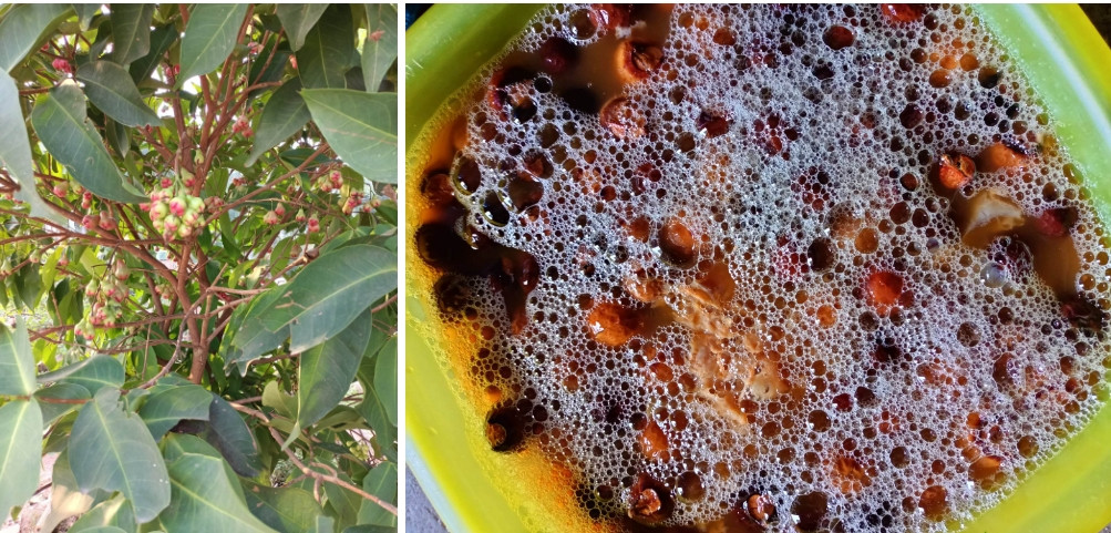 Bỏ phố về quê lại tìm thấy hạnh phúc trong tâm hồn - Hình 4 Bo pho ve que lai tim thay hanh phuc trong tam hon-Hinh-4