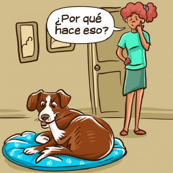 Cho hung du voi mot so nguoi nhung voi mot so khac lai khong-Hinh-5