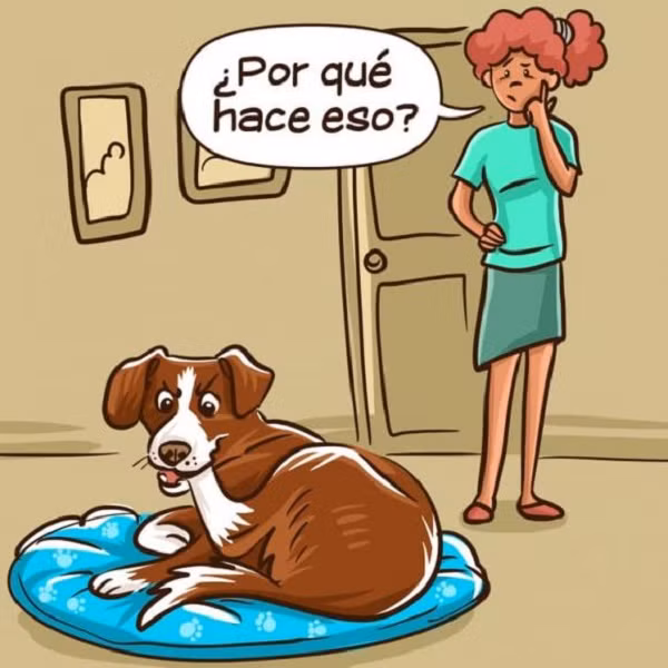 Cho hung du voi mot so nguoi nhung voi mot so khac lai khong-Hinh-5