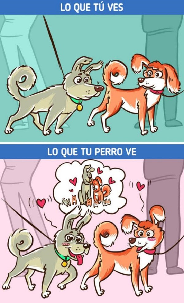 Cho hung du voi mot so nguoi nhung voi mot so khac lai khong-Hinh-8