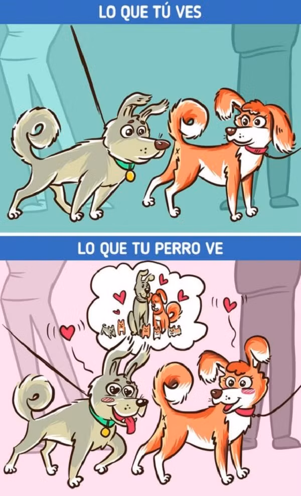 Cho hung du voi mot so nguoi nhung voi mot so khac lai khong-Hinh-8