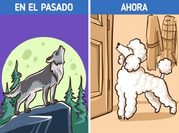 Cho hung du voi mot so nguoi nhung voi mot so khac lai khong-Hinh-4