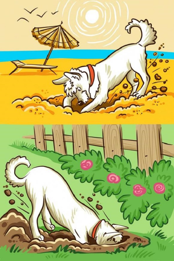 Cho hung du voi mot so nguoi nhung voi mot so khac lai khong-Hinh-7