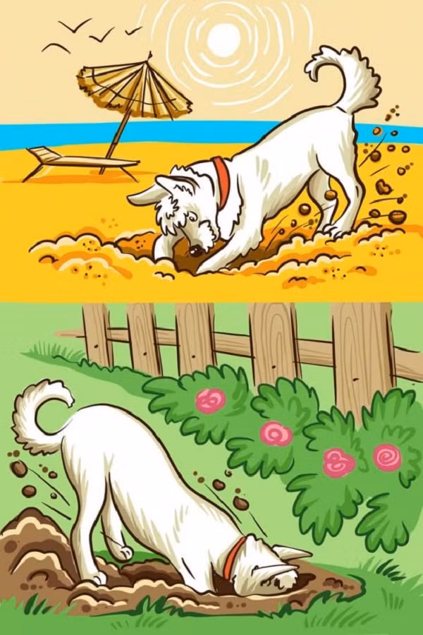 Cho hung du voi mot so nguoi nhung voi mot so khac lai khong-Hinh-7