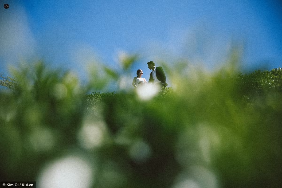 Như những cặp đôi yêu nhau khác, Thảo và Thuỳ đến với nhau khá tình cờ khi ngồi cùng chuyến xe, nàng cũng mới chia tay người yêu có người tâm sự cũng đỡ buồn. Thảo vẫn hay nói Thuỳ: "Yêu ai cũng vậy, yêu giùm anh, anh cám ơn".