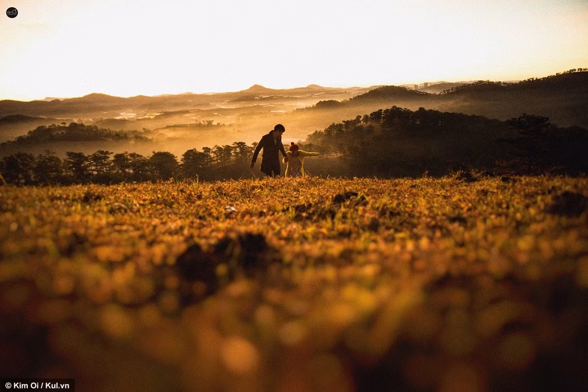 Dù là một cặp đôi chênh lệch chiều cao khá lớn, trước những giễu cợt của mọi người hai người vẫn rất vui vẻ hạnh phúc cùng nhau tạo nên những bức hình tuyệt đẹp trên đất Đà Lạt mộng mơ.