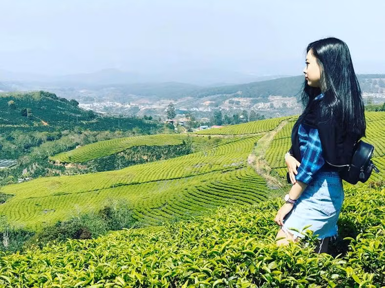 Cảm nhận đầu tiên khi du khách dừng chân tại đồi chè xanh mướt này là không gian lành lạnh, đứng ở một góc cao trên đồi chè, phóng tầm mắt ra xa bạn sẽ thấy nương chè như tấm thảm xanh miên man.