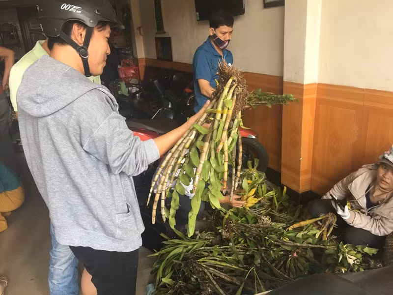 Cho phien lan rung ban theo can giua Da Nang-Hinh-4