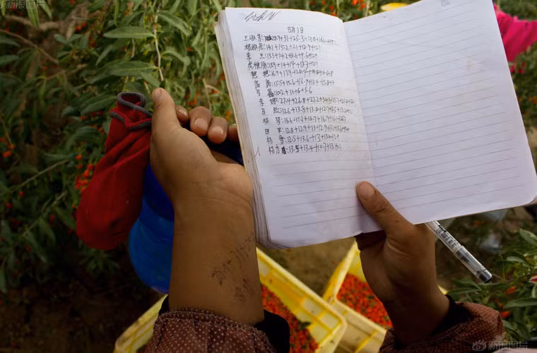 Người nhân công cẩn thận ghi lại ngày công làm việc của mình vào một cuốn sổ.