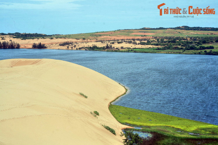 Hồ Bàu Trắng nằm cách đồi cát bay không xa, nơi có một khung cảnh thiên nhiên vô cùng đặc sắc với hai sắc thái đối lập: hồ nước xanh ngắt bên "sa mạc" mênh mông.