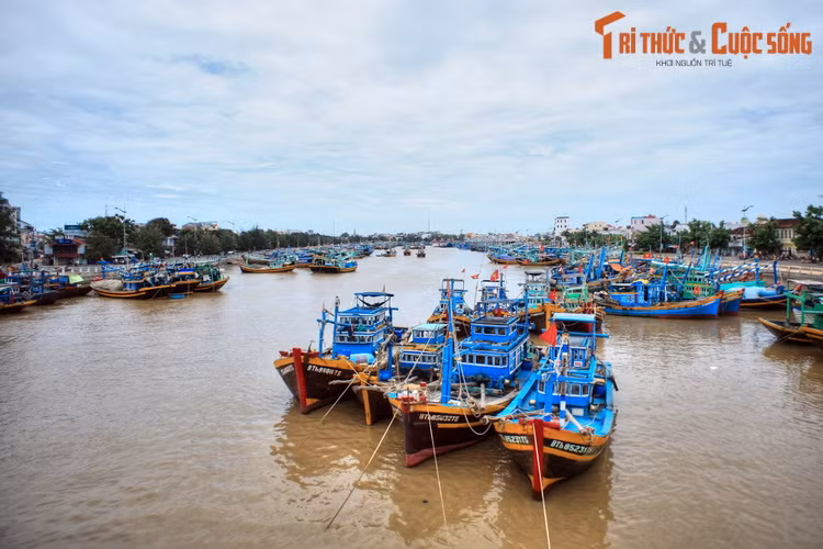 Những con thuyền đánh cá màu xanh nằm san sát nhau trên mặt nước phẳng lặng là hình ảnh quen thuộc ở cửa biển Cồn Chà. Ngư nghiệp là một ngành kinh tế quan trọng của cư dân Phan Thiết.