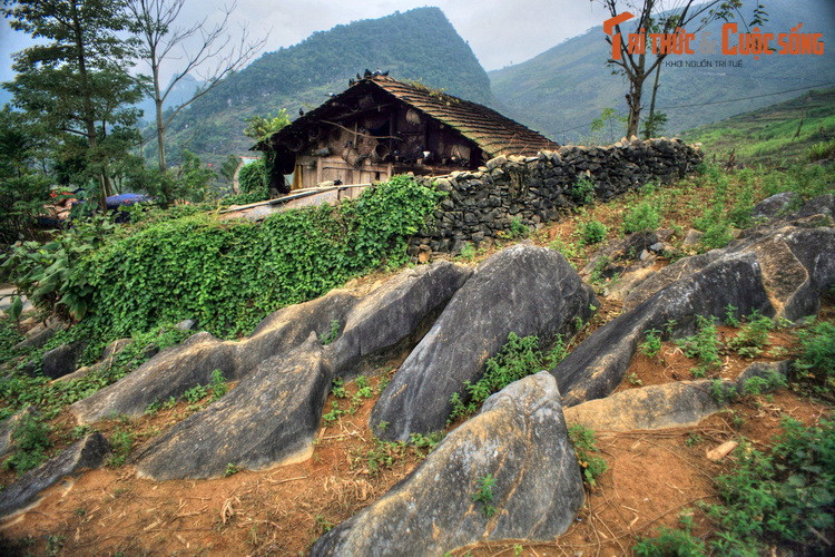 Bãi đá "sư tử biển" ở xã Vần Chải, huyện Đồng Văn, là một tập đá vôi phân lớp khá dày, màu xám sáng, tinh khiết hơn so với những tập đá vôi phân lớp mỏng hơn ở khu vực lân cận, tạo nên hình ảnh giống như đán sư tử biển đang nằm phơi nắng.