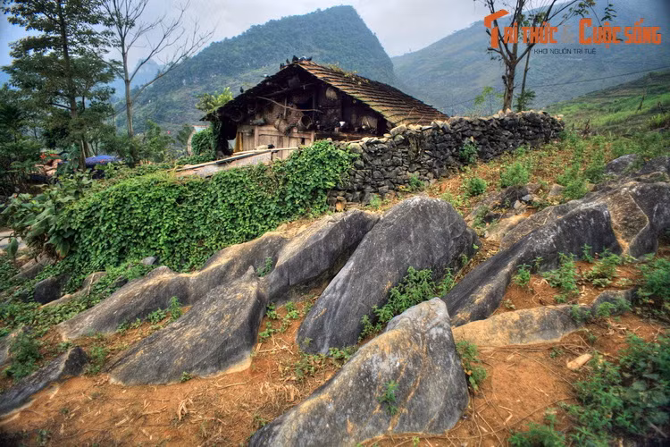 Bãi đá "sư tử biển" ở xã Vần Chải, huyện Đồng Văn, là một tập đá vôi phân lớp khá dày, màu xám sáng, tinh khiết hơn so với những tập đá vôi phân lớp mỏng hơn ở khu vực lân cận, tạo nên hình ảnh giống như đán sư tử biển đang nằm phơi nắng.