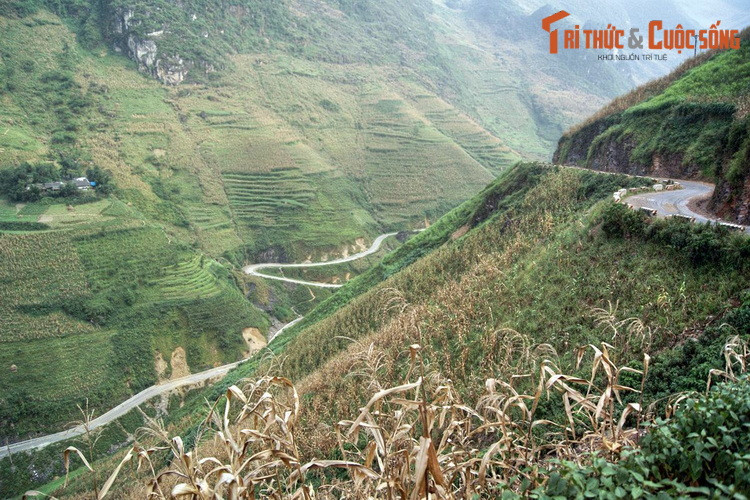 Nương ngô trên sườn núi hiểm trở nằm giữa những khúc cua của con đường Hạnh Phúc, một minh chứng cho sức sống bất tận của con người ở vùng đất khắc nghiệt địa đầu Tổ quốc.