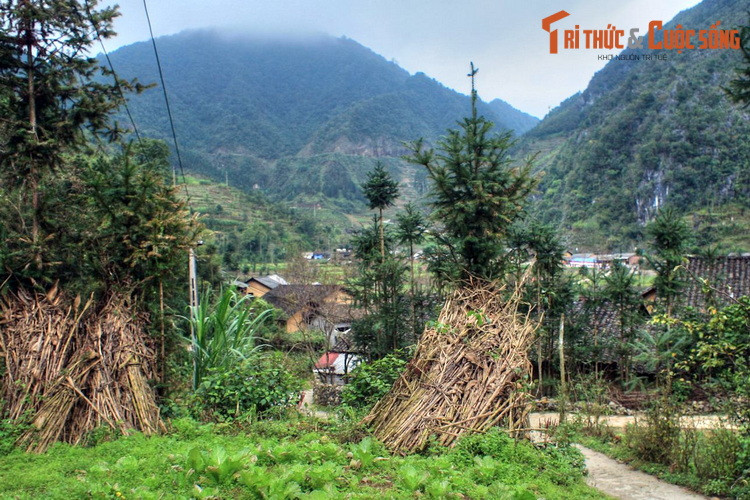 Với vẻ đẹp hồn hậu của mình, Sủng Là đã được chọn làm bối cảnh cho bộ phim điện ảnh nổi tiếng “chuyện của Pao” của đạo diễn Ngô Quang Hải, do Đài truyền hình Việt Nam sản xuất vào năm 2005. Kể từ đó, thung lũng bình yên này ngày càng được nhiều người biết đến...