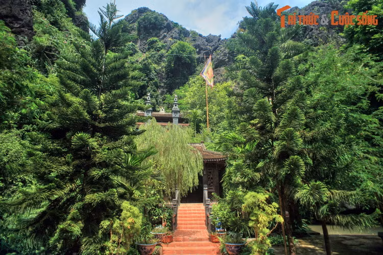 6. Nằm ở xã Trường Yên, huyện Hoa Lư, di tích Phủ Đại là địa danh Đinh Bộ Lĩnh xưng tôn hiệu Đại Thắng Minh Hoàng Đế, đặt tên nước là Đại Cồ Việt, lấy niên hiệu Thái Bình. Nơi đây có phủ thờ vua Đinh Tiên Hoàng và Nguyễn Bặc - vị khai quốc công thần nhà Đinh.