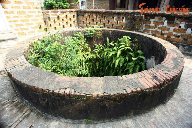 Hình ảnh chiếc giếng cổ nói trên khi chưa bị tô vẽ. Thuở xa xưa, các giếng cổ ở Đường Lâm đều được ghép bằng những phiến đá ong khai thác tại địa phương.