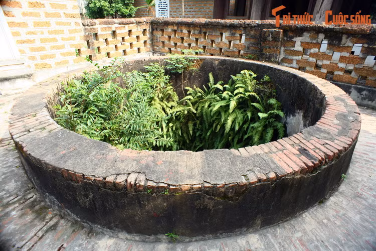 Hình ảnh chiếc giếng cổ nói trên khi chưa bị tô vẽ. Thuở xa xưa, các giếng cổ ở Đường Lâm đều được ghép bằng những phiến đá ong khai thác tại địa phương.