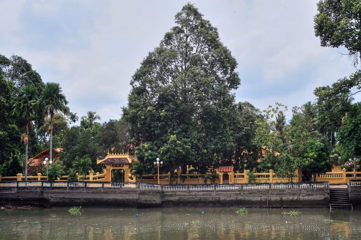 Chùa Nam Nhã nằm nối diện với đình Bình Thủy qua sông Bình Thủy. Chùa Nam Nhã được xây dựng năm 1895 và trải qua các lần tôn tạo lớn vào năm 1905, 1917 và 1923, là ngôi chùa cổ nổi tiếng bậc nhất của TP Cần Thơ.