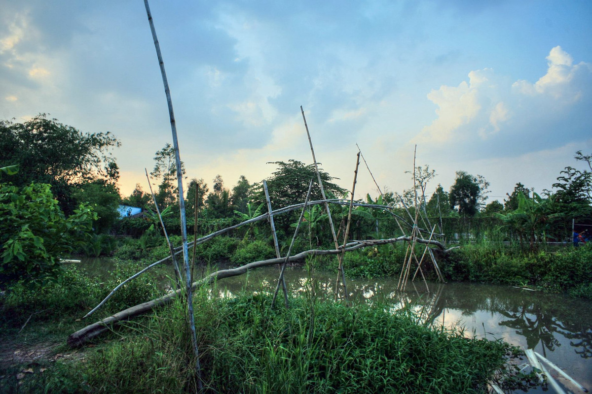 Cây cầu khỉ ở vùng nôn thôn ngoại vi Cần Thơ. Loại cầu thô sơ độc đáo này đã xuất hiện cùng lớp người khẩn hoang đầu tiên, và vẫn còn hữu dụng cho đến nay.