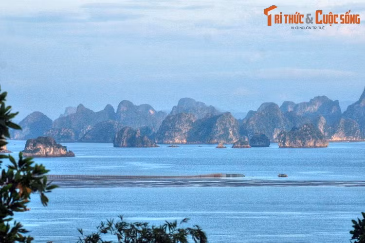 Không chỉ có vịnh Hạ Long, tỉnh Quảng Ninh còn nhiều thắng cảnh nổi tiếng khác như vịnh Bái Tử Long, đảo Quan Lạn, non thiêng Yên Tử... Việc sân bay quốc tế Vân Đồn đi vào hoạt động khiến bạn bè năm châu có thể tiếp cận Quảng Ninh dễ dàng hơn nhiều. Ảnh: Một góc vịnh Bái Tử Long nhìn từ thành phố Cẩm Phả.