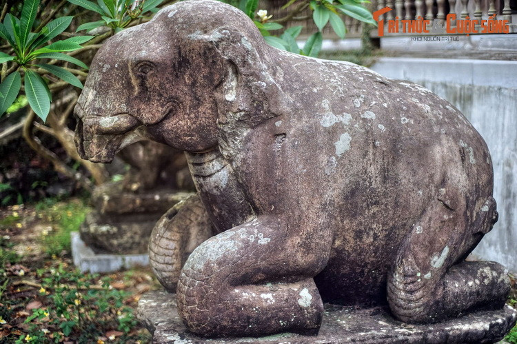 Các linh thú này đều có trong điển tích nhà Phật, mang ý nghĩa bảo vệ và quy y Phật pháp. Cụ thể, sư tử biểu tượng của sức mạnh bảo hộ Phật pháp. Voi là sức mạnh thể chất và tâm thức. Tê giác là sự kiên trì của người tu hành...