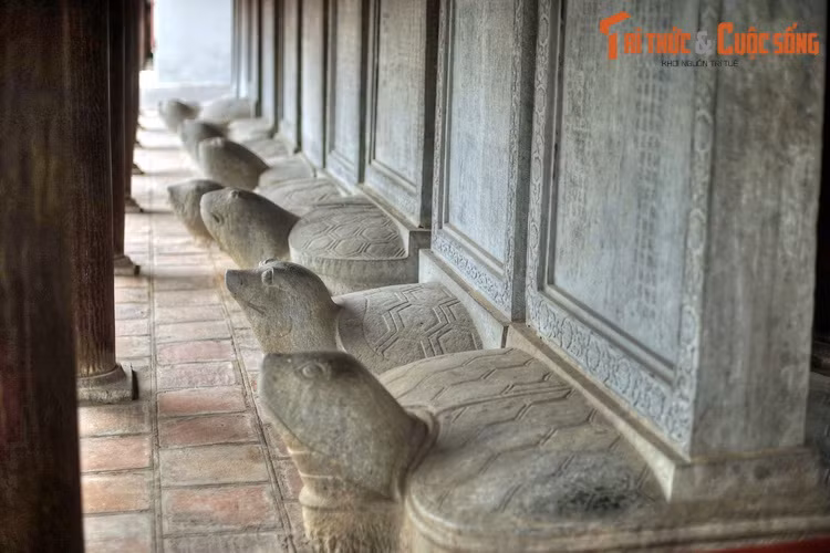 82 khoa thi được dựng bia ở Văn Miếu đã ghi tên 1306 người đỗ trong số hơn 200.000 người thi. Năm 1502 và năm 1667 đỗ ít nhất có 3 người. Năm 1478 đỗ nhiều nhất có 62 người. Người đỗ ít tuổi nhất là Nguyễn Hiền, đỗ Trạng Nguyên năm 1247 khi mới 13 tuổi. Người nhiều tuổi nhất là Quách Đồng Dần 68 tuổi đỗ Tiến sĩ năm 1634.