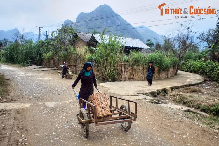 Các cư dân Phố Cáo sống chủ yếu bằng nghề nông với hai hình thức canh tác là trồng lúa nước và ruộng nương. Ngoài ra họ còn có một số nghề thủ công truyền thống như dệt thổ cẩm, đan lát, rèn đúc…