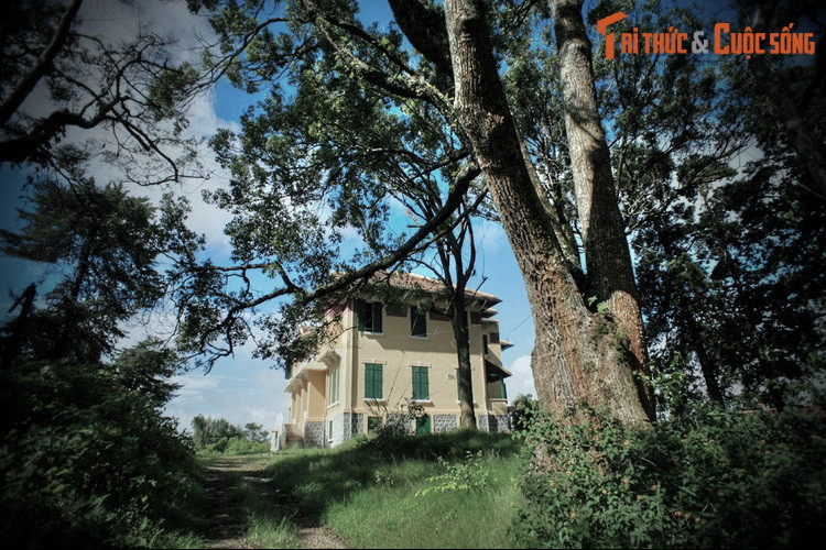 Đến tháng 3/2019, khi Lâm Đồng công bố quyết định phê duyệt quy hoạch chi tiết và thiết kế đô thị khu vực trung tâm Hòa Bình, dinh Tỉnh trưởng Đà Lạt đã trở thành một chủ đề được dư luận quan tâm, khi ba phương án kiến trúc khu vực đồi Dinh được đưa ra.