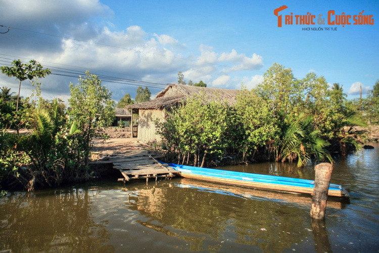 Những bến đò đơn sơ là một phần không thể thiếu trong cuộc sống của người dân vùng thôn quê Cà Mau.