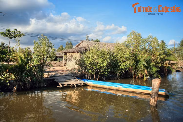 Những bến đò đơn sơ là một phần không thể thiếu trong cuộc sống của người dân vùng thôn quê Cà Mau.